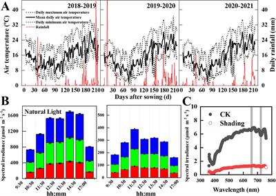 Shade tolerance in wheat is related to photosynthetic limitation and morphological and physiological acclimations